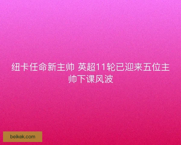 纽卡任命新主帅 英超11轮已迎来五位主帅下课风波 纽卡任命新主帅 英超11轮已迎来五位主帅下课风波